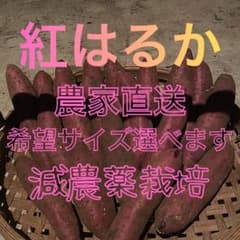 サイズ指定お任せください！紅はるか 減農薬栽培 農家直送　 5キロのサムネイル