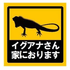 イグアナさん家におります UVカット ステッカーのサムネイル