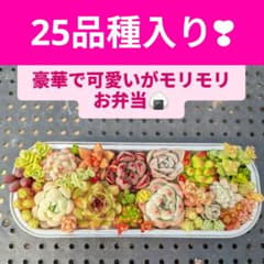 豪華で可愛い多肉ちゃんお弁当のサムネイル