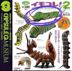 イモコレ！2 クロアゲハのサムネイル