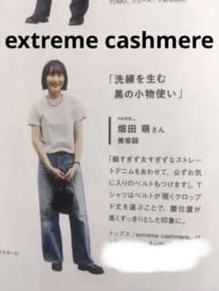 畑田萌 着 美品 エクストリームカシミヤ カシミヤT 半袖 Tシャツ