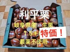 岐阜県産 生栗1.5kg 農薬不使用　利平栗のサムネイル