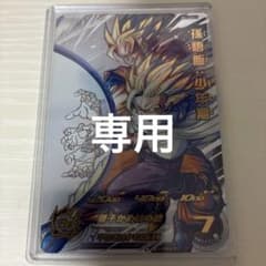 カワウソ様専用 mm1-asec p 孫悟飯少年期 - メルカリ