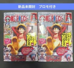 ワンピースマガジン 20号 2冊セット プロモ付き - メルカリ
