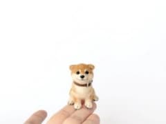 小さな小さな羊毛フェルト 柴犬 手のひらサイズ m32090733082_1.jpg?1784073343