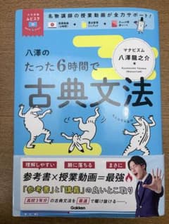 八澤のたった6時間で古典文法のサムネイル