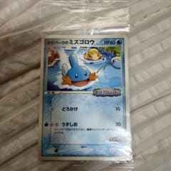ポケパークのミズゴロウ PROMO PCG-Pプロモカード 048/PCG-P - メルカリ
