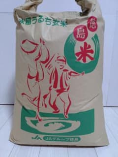 徳島県産 コシヒカリ 20kg　低温貯蔵中　農家直送のサムネイル