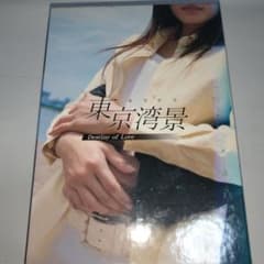 東京湾景 Destiny of Love DVD - メルカリ