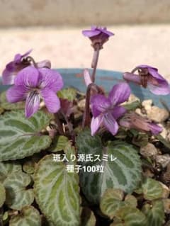 eme…*⌘*様 リクエスト 2点 まとめ商品のサムネイル