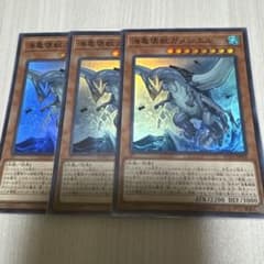 遊戯王 海亀壊獣ガメシエル スーパーレア 3枚 - メルカリ