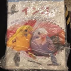 コザクラインコさん専用のサムネイル