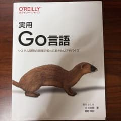 実用 Go言語 システム開発の現場で知っておきたいアドバイスのサムネイル