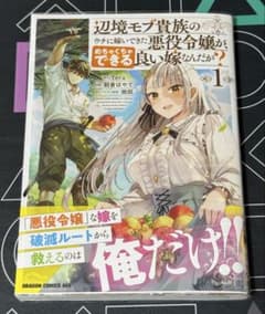 辺境モブ貴族のウチに嫁いできた悪役令嬢が、めちゃくちゃできる良い嫁なんだが? 1のサムネイル