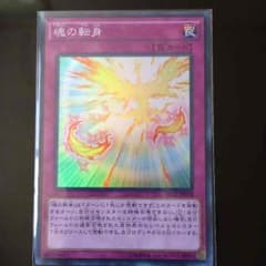魂の転身のサムネイル