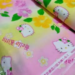 ハローキティ ハイビスカス レトロ 廃盤 激レア - メルカリ