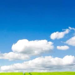 ゆーこ☆様専用☆のサムネイル