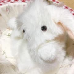 m32123409534_1.jpg?1630567052