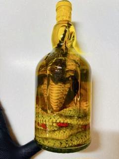 鑑賞用】コブラ酒 サソリ酒 サソリ コブラ お酒 ベトナム 蛇