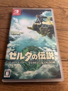 젤다의 전설 TEARS OF THE KINGDOM