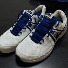 NIKE　DART10 31センチのサムネイル