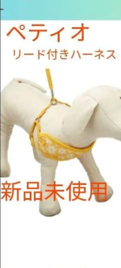XmasSALE!!ペティオリード付きハーネス　新品未使用のサムネイル
