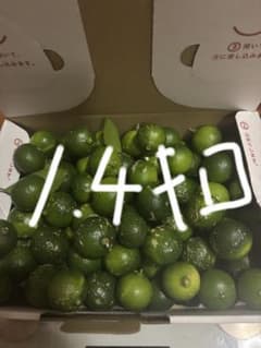福岡県産完全無農薬シークワーサー１.４キロのサムネイル