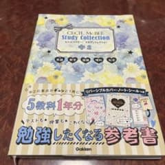 セシルマクビースタディコレクション中2 : 英語 数学 国語 理科 社会のサムネイル