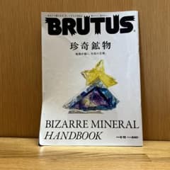 BRUTUS 2022年6月15日号No.963のサムネイル