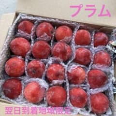 完熟プラム　宅急便常温発送　本日限り 完熟プラム 宅急便常温発送 本日限り - メルカリ