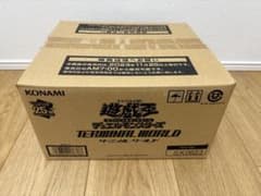 ターミナルワールド1 未開封カートン - メルカリ