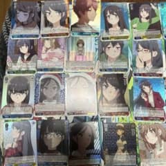 호 *와 님 Weiss Schwarz 푸른 돼지 10 상자 분