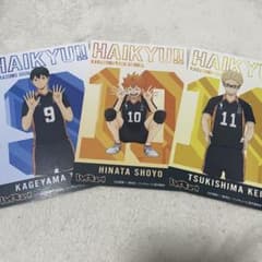 ハイキュー!! アニメイト 特典 烏野高校セット 影山飛雄 日向翔陽 月島