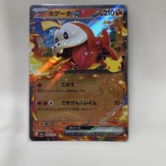 ポケモンカード ホゲータex RRのサムネイル