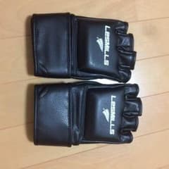 レスミルズ グローブのサムネイル