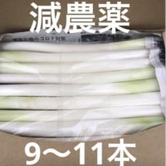 不揃いカットネギ　　　　　おいし〜いよ！ 　　A4サイズのサムネイル