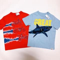 Baby Gap Tシャツ2枚　110cmのサムネイル