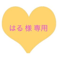 はる 様 専用出品のサムネイル