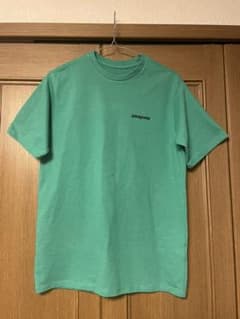 【大人気】patagonia パタゴニア Tシャツのサムネイル