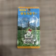 北海道限定 はろうきてぃ ご当地キティ - メルカリ