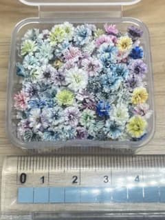 ハンドメイド　花材　ドライフラワー　小花　かすみ草　mixカラー　200粒+α① ハンドメイド 花材 ドライフラワー 小花 かすみ草 mixカラー 200粒+α①