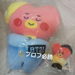 일본 미발매 BT21 쿠션 봉제 인형 BTS TATA 타타