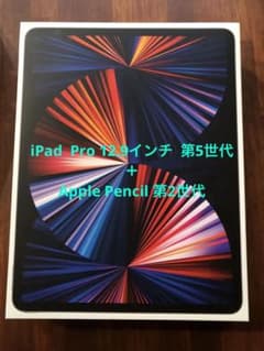Apple iPad Pro 12.9 256GB Wi-Fi スペースグレーのサムネイル