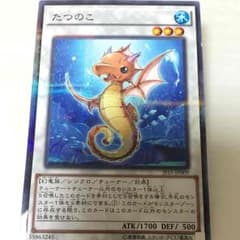 【特価】 たつのこ 【遊戯王】のサムネイル