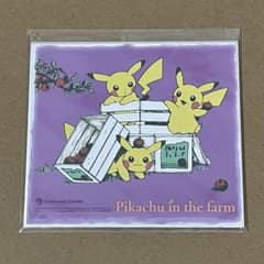 ポケモン ピカチュウ ミニ色紙 farm ポケモンセンター 特典 ファーム