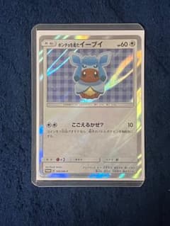 ポンチョを着たイーブイ　グレイシア　あんしん鑑定選択可 ポンチョを着たイーブイ グレイシア あんしん鑑定選択可 ポンチョを着