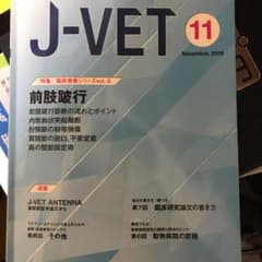 j-vet  2018年11月 前肢跛行のサムネイル