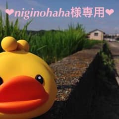 ❤︎ niginohaha様専用 ❤︎のサムネイル