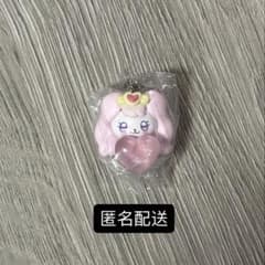 푸치큐아 메지루시 액세서리 파후 ③