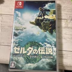 ゼルダの伝説 ティアーズ オブ ザ キングダムのサムネイル